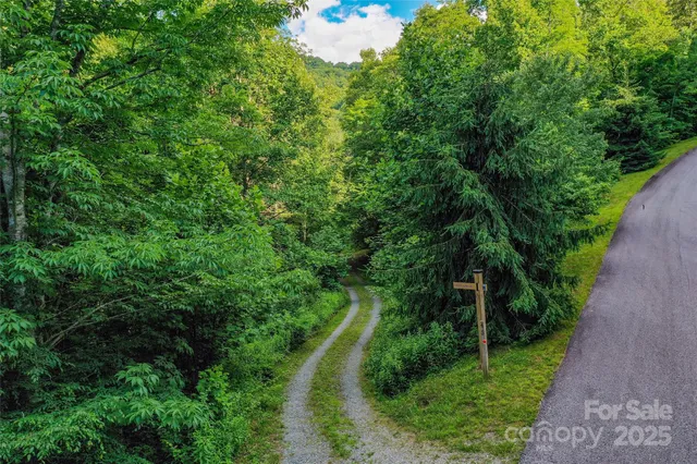 a view of a yard with plants and a small yard