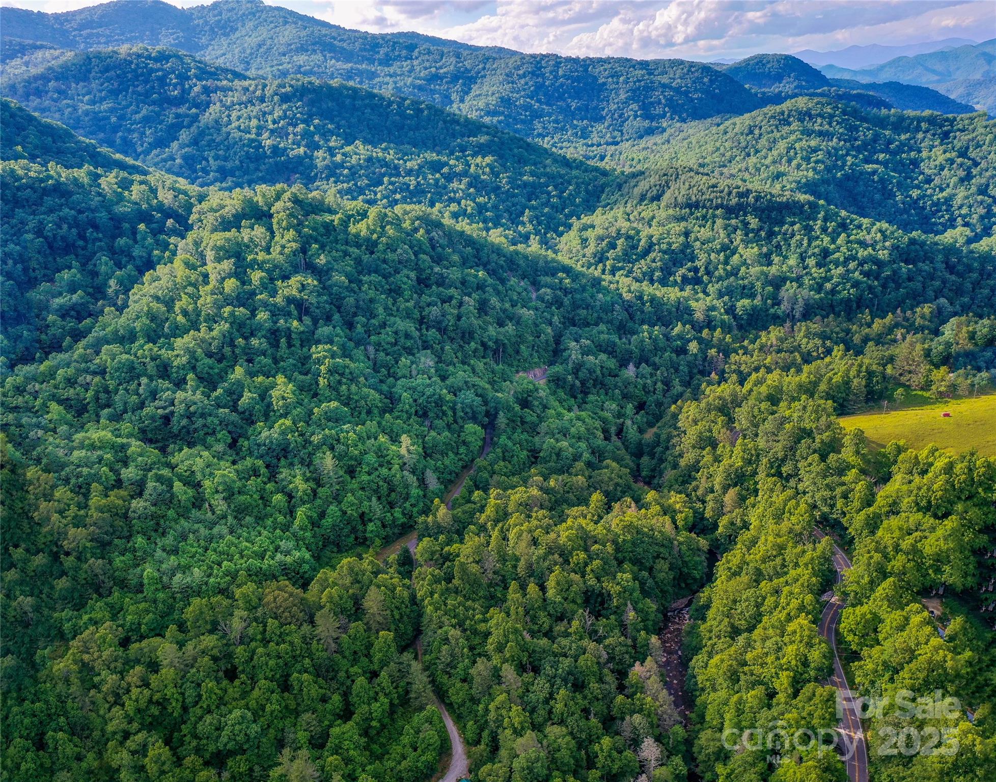 Lot 13 Hares Ear Lane, Unit 13 Cullowhee, NC 28723 - Photo 8 of 23 a view of a lush green field with a mountain in the background