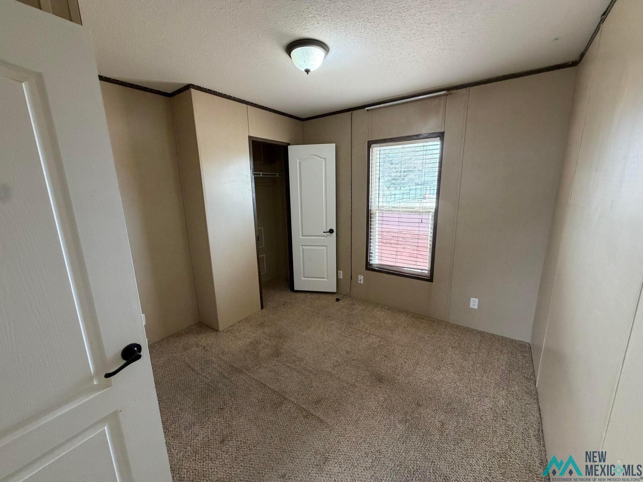 801 Riata Road Carlsbad, NM 88220 - Photo 14 of 39 Carpeted interior room featuring a window with blinds, a ceiling-mounted light fixture, a paneled door with dark hardware, and a built-in closet with shelving