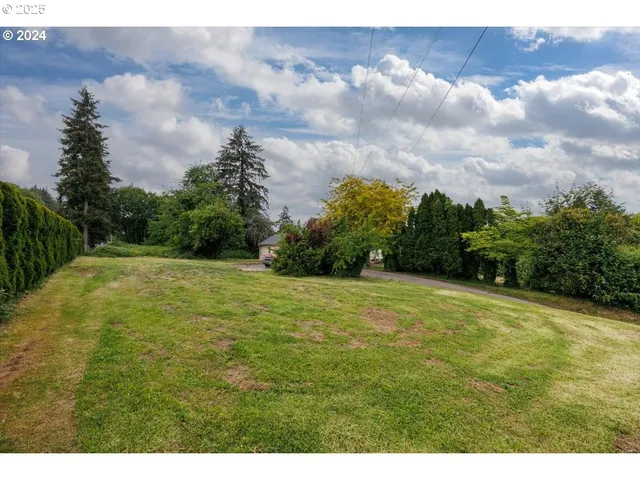 a view of a big yard with lots of green space