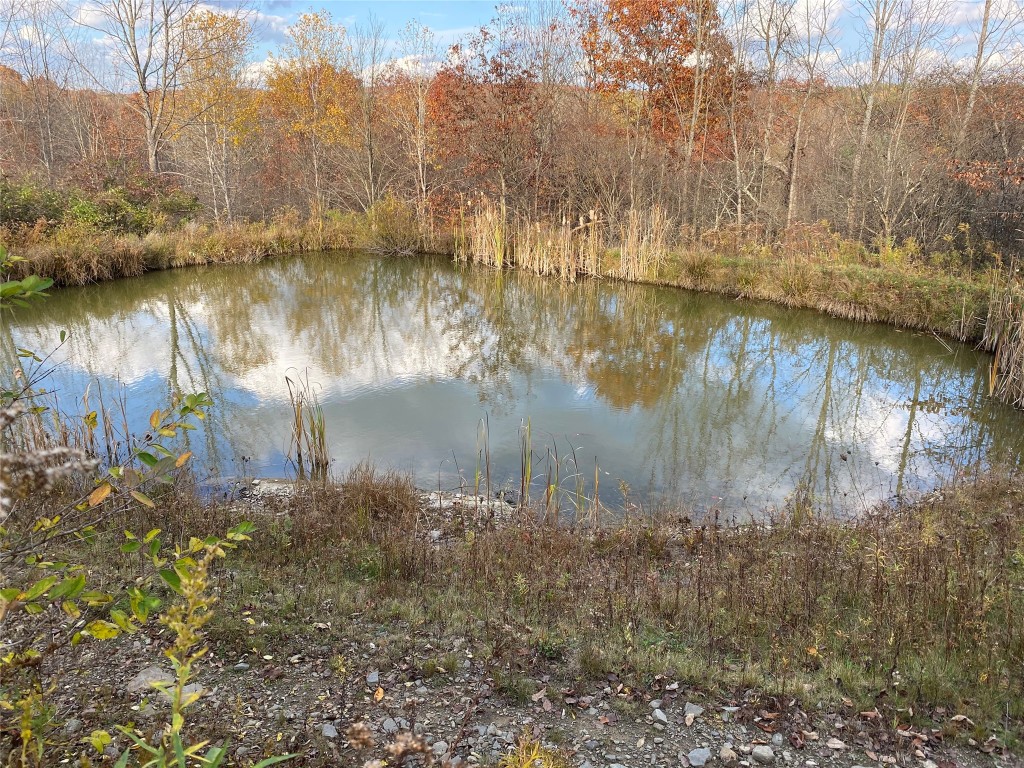 690 Brotzman Road Binghamton, NY 13901 - Photo 19 of 20 Gallery Image 19