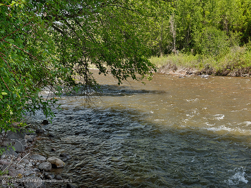 1637 Emma Spur Basalt, CO 81621 - Photo 14 of 35 a view of a yard with large trees