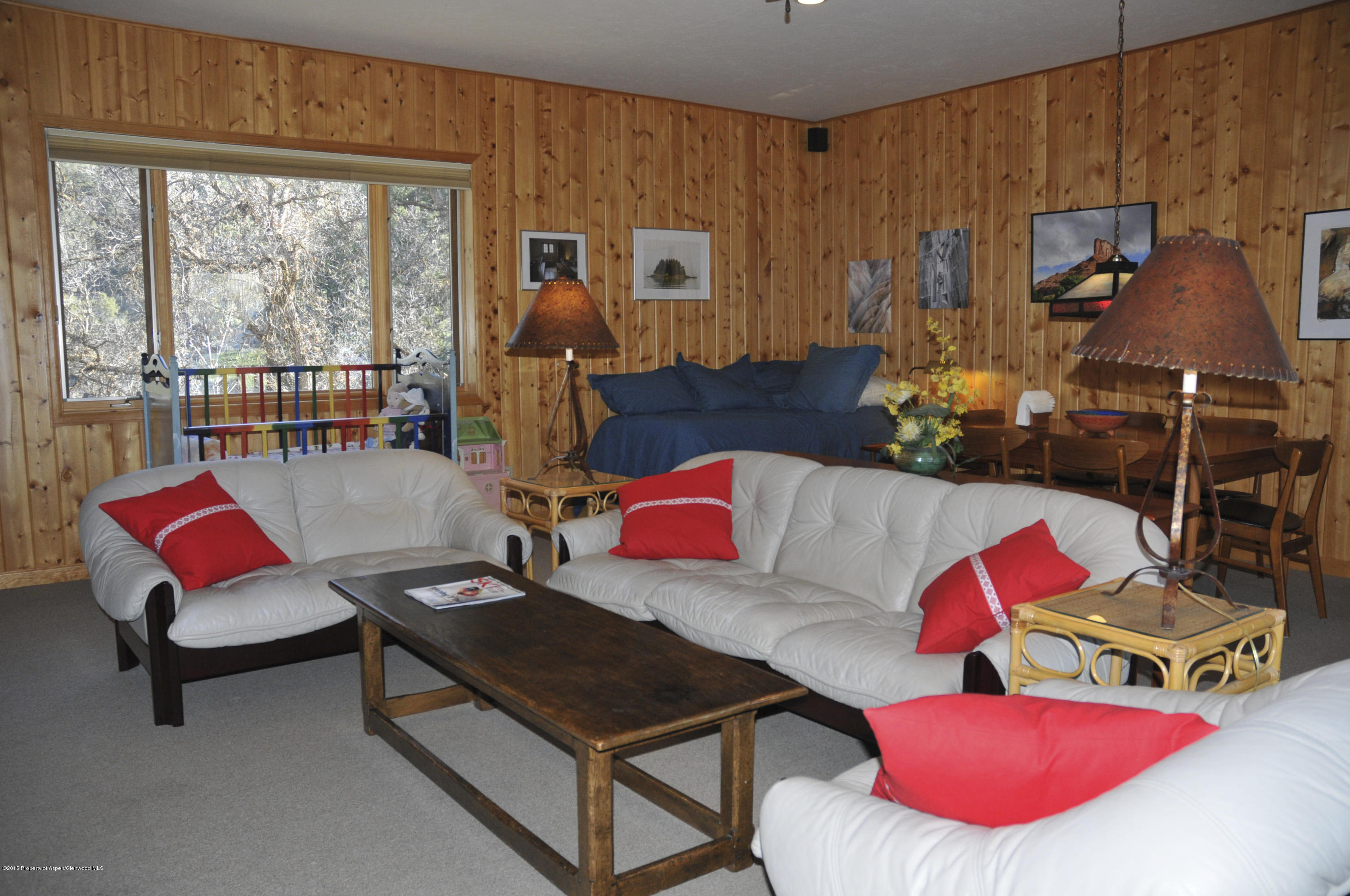 1637 Emma Spur Basalt, CO 81621 - Photo 27 of 35 a living room with furniture and a couch