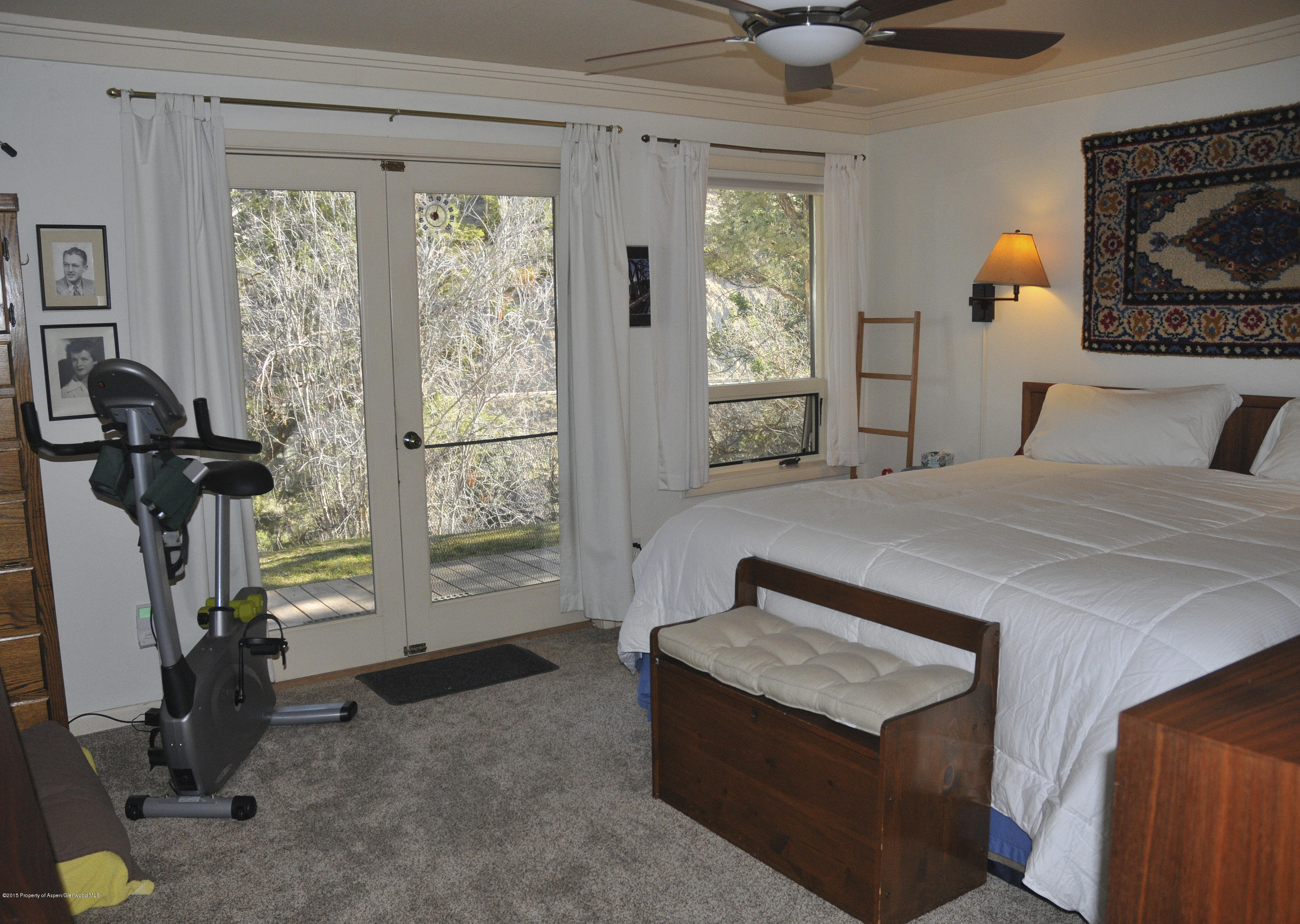 1637 Emma Spur Basalt, CO 81621 - Photo 29 of 35 a bedroom with a bed a window and potted plants on the dresser