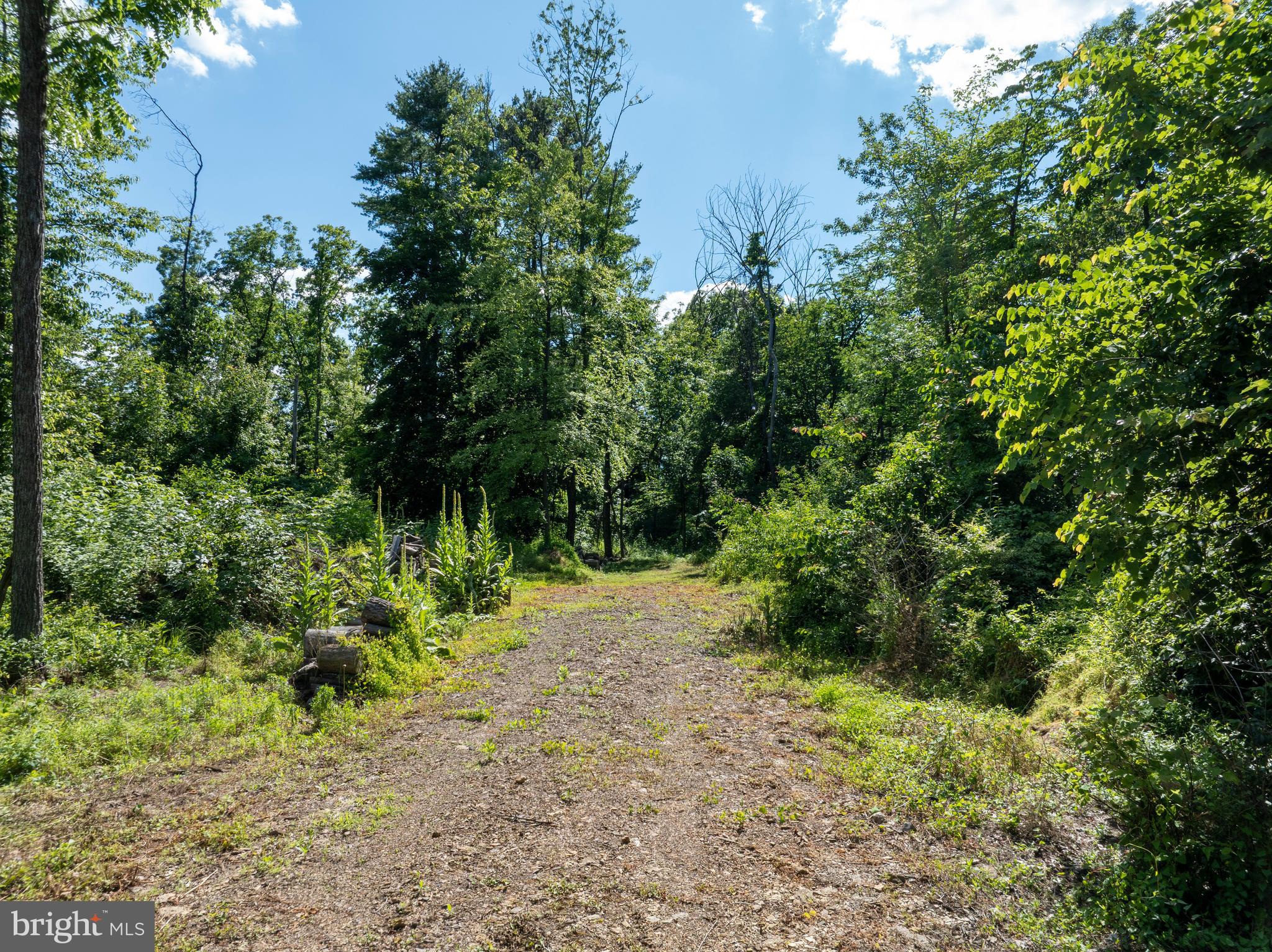 19 West Mountain Road McVeytown, PA 17051 - Photo 5 of 27