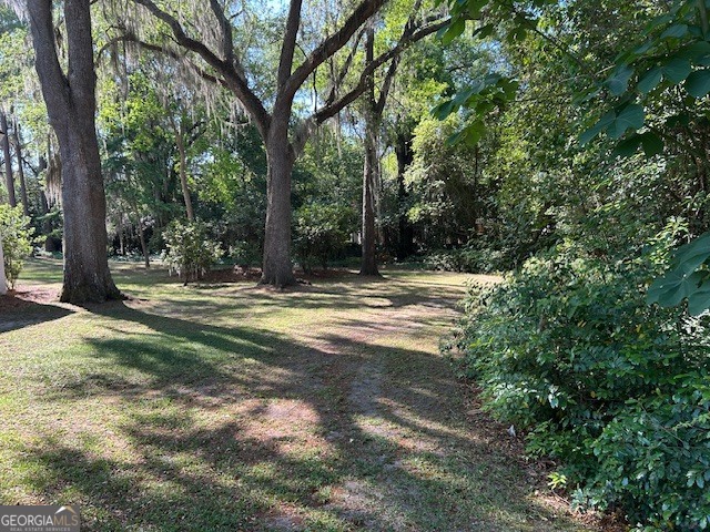 1156 South Main Street Moultrie, GA 31768 - Photo 8 of 56 a view of outdoor space with trees