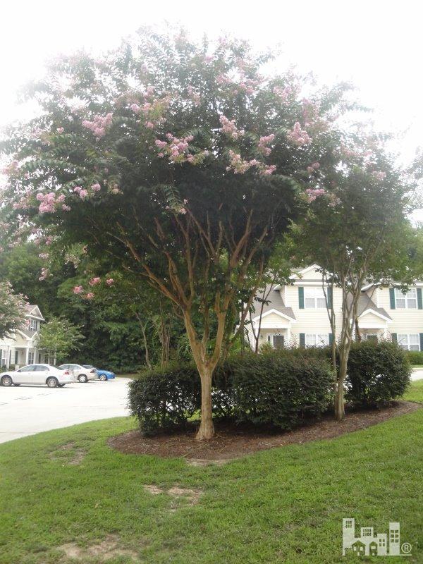 4312 Reed Court Wilmington, NC 28405 - Photo 22 of 22 Additional Photo