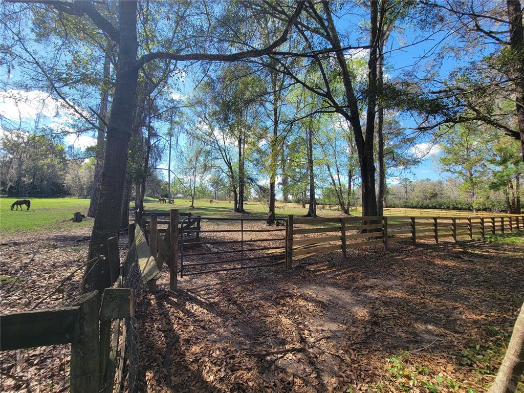 1600 Southwest 42nd Street Ocala, FL 34471 - Photo 30 of 39 a view of a yard with a tree