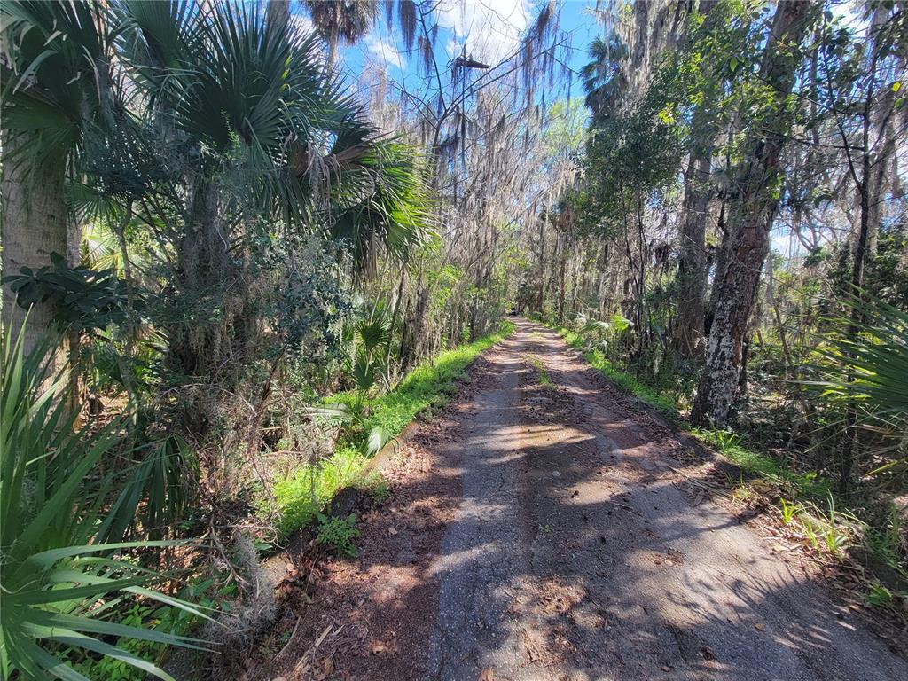 1600 Southwest 42nd Street Ocala, FL 34471 - Photo 33 of 39 a view of an outdoor space with a lake view