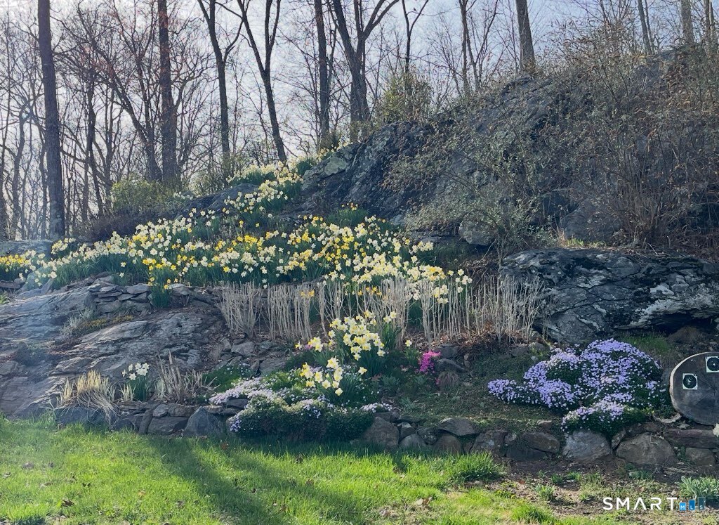 24 Reality Road Oxford, CT 06478 - Photo 33 of 37