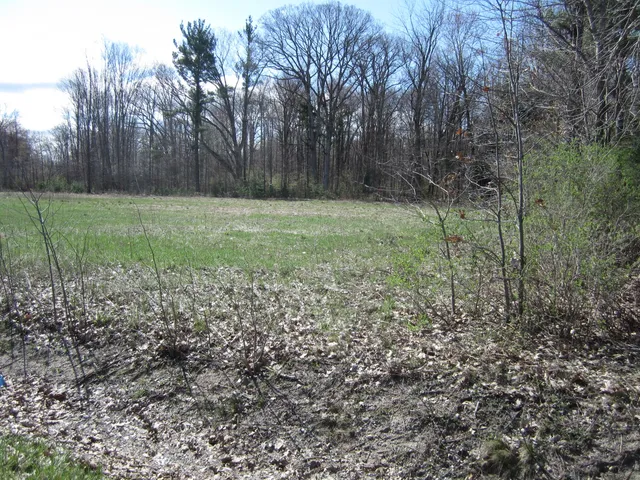 $350,000 | 0 Lake Michigan Drive, West Olive, MI 49460