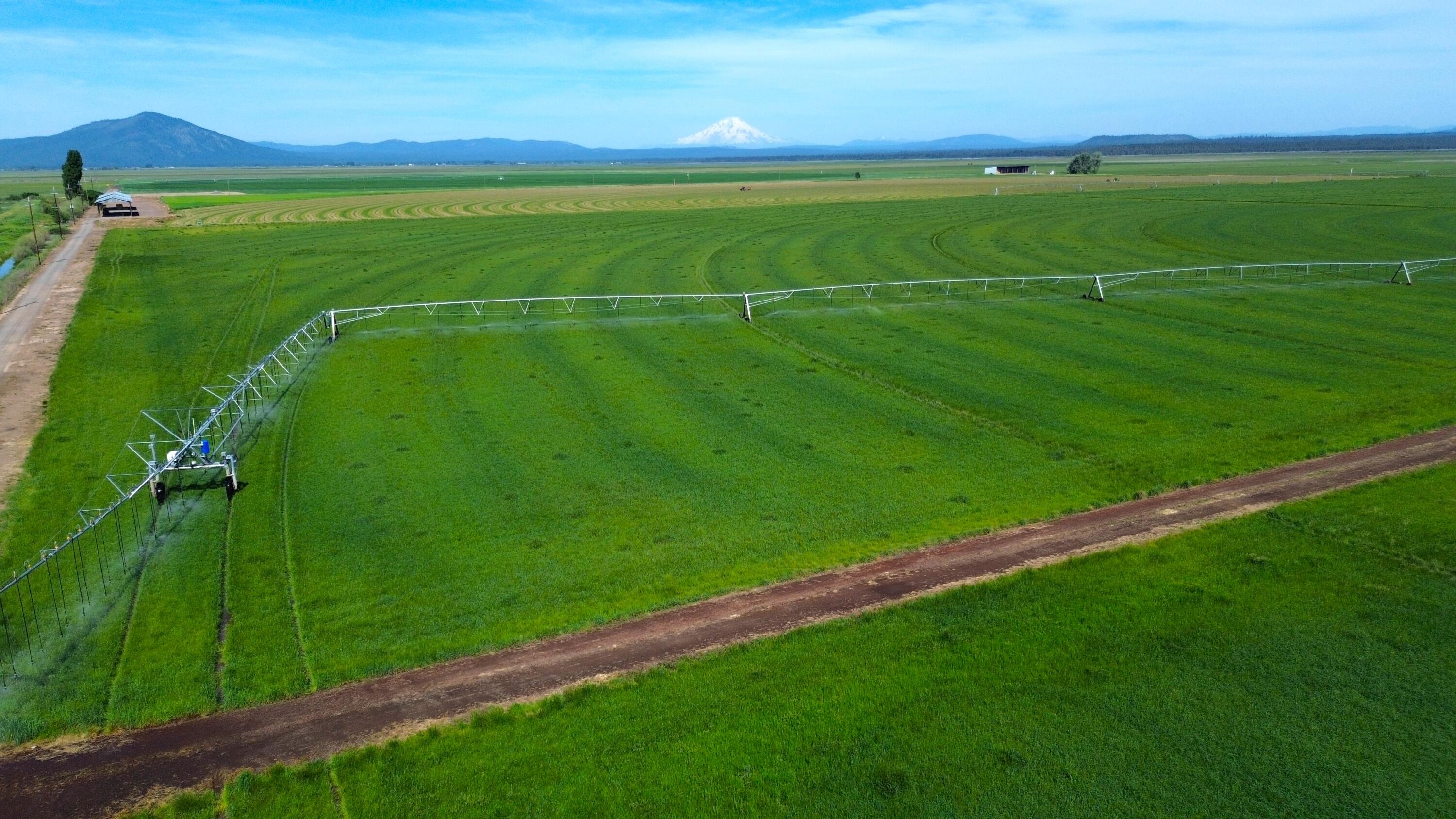 a view of a field with an outdoor space