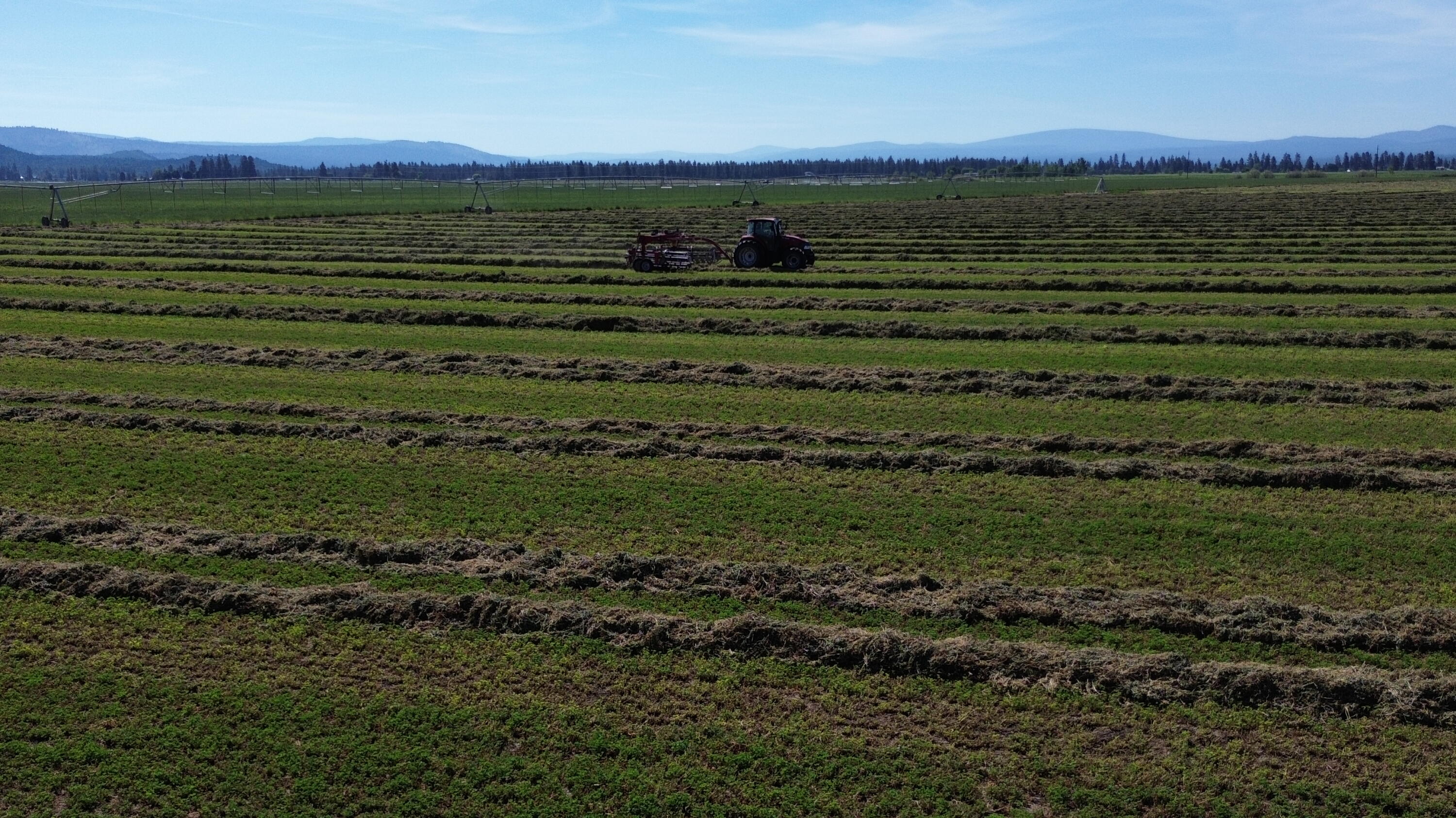 Lot 002 Lee Road McArthur, CA 96056 - Photo 17 of 34 a view of a field with an ocean