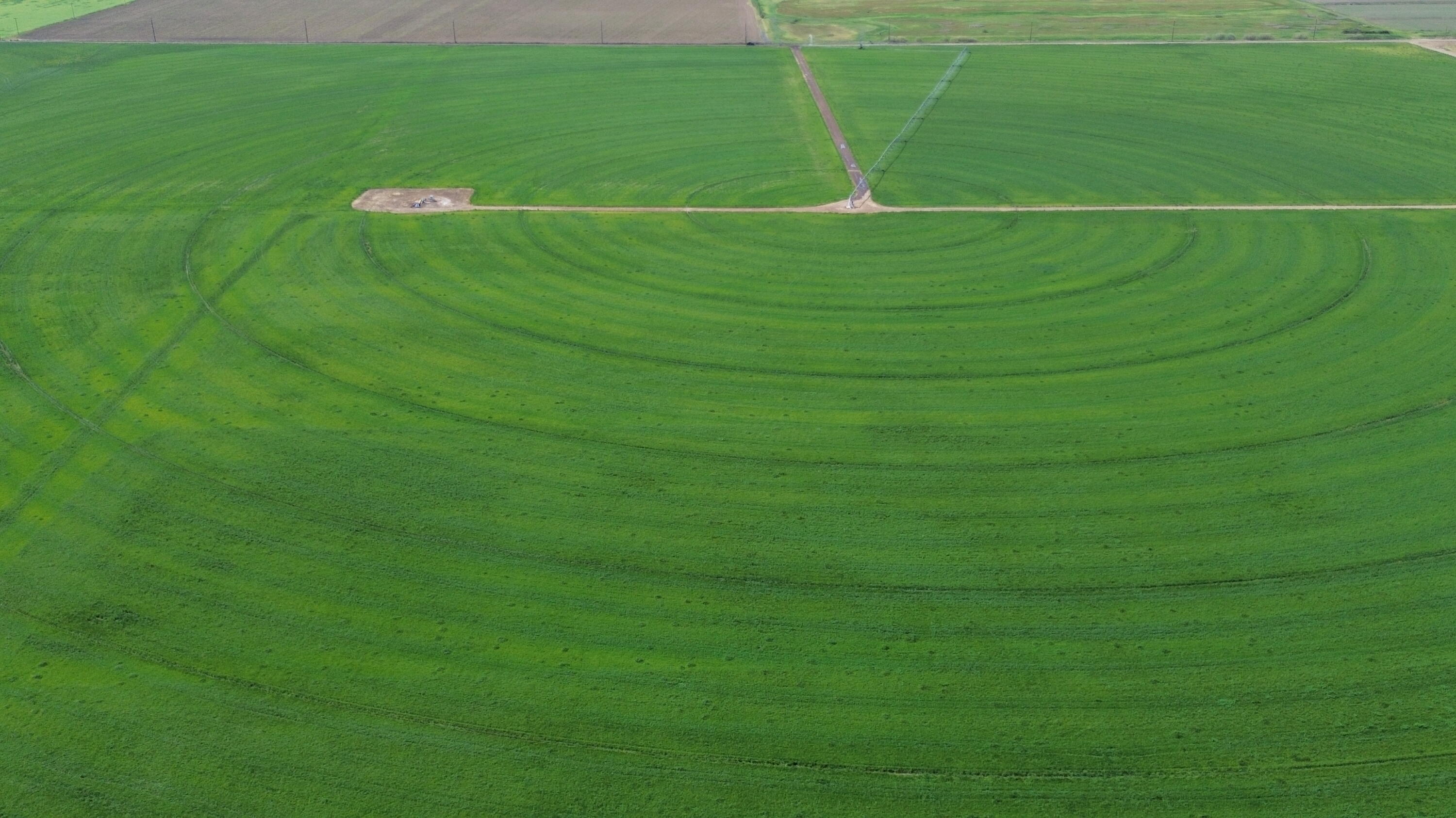 Lot 002 Lee Road McArthur, CA 96056 - Photo 19 of 34 a view of a field with a big trees