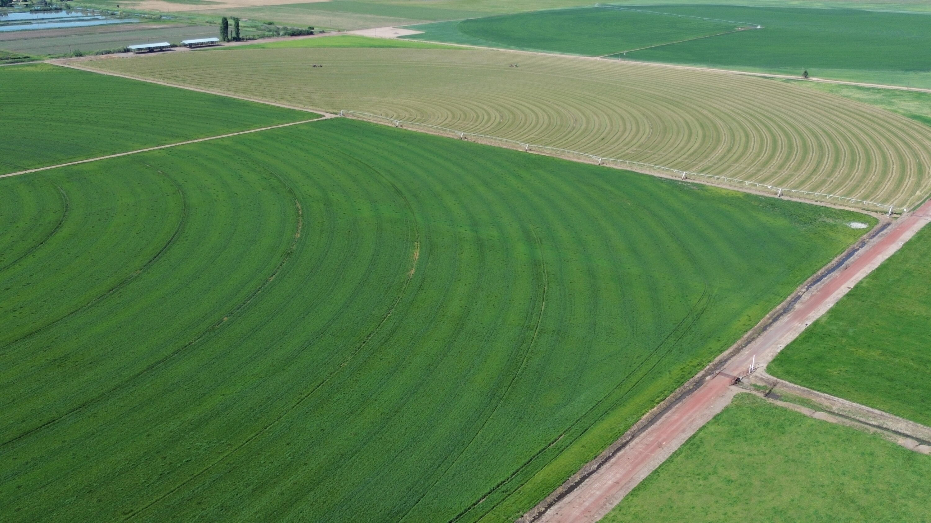Lot 002 Lee Road McArthur, CA 96056 - Photo 20 of 34 a view of a field of grass and trees
