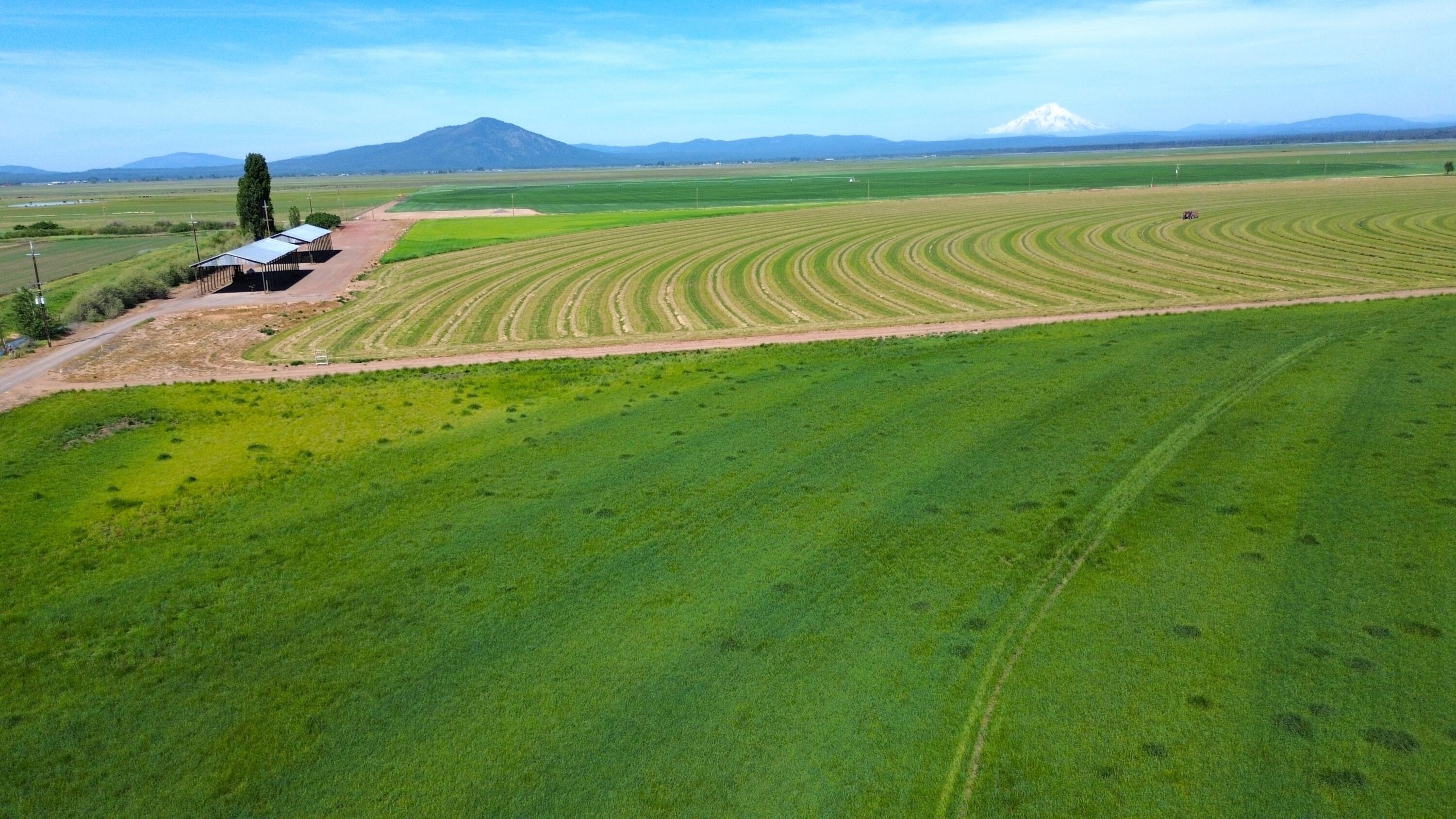 Lot 002 Lee Road McArthur, CA 96056 - Photo 2 of 34 a view of a field with an ocean view