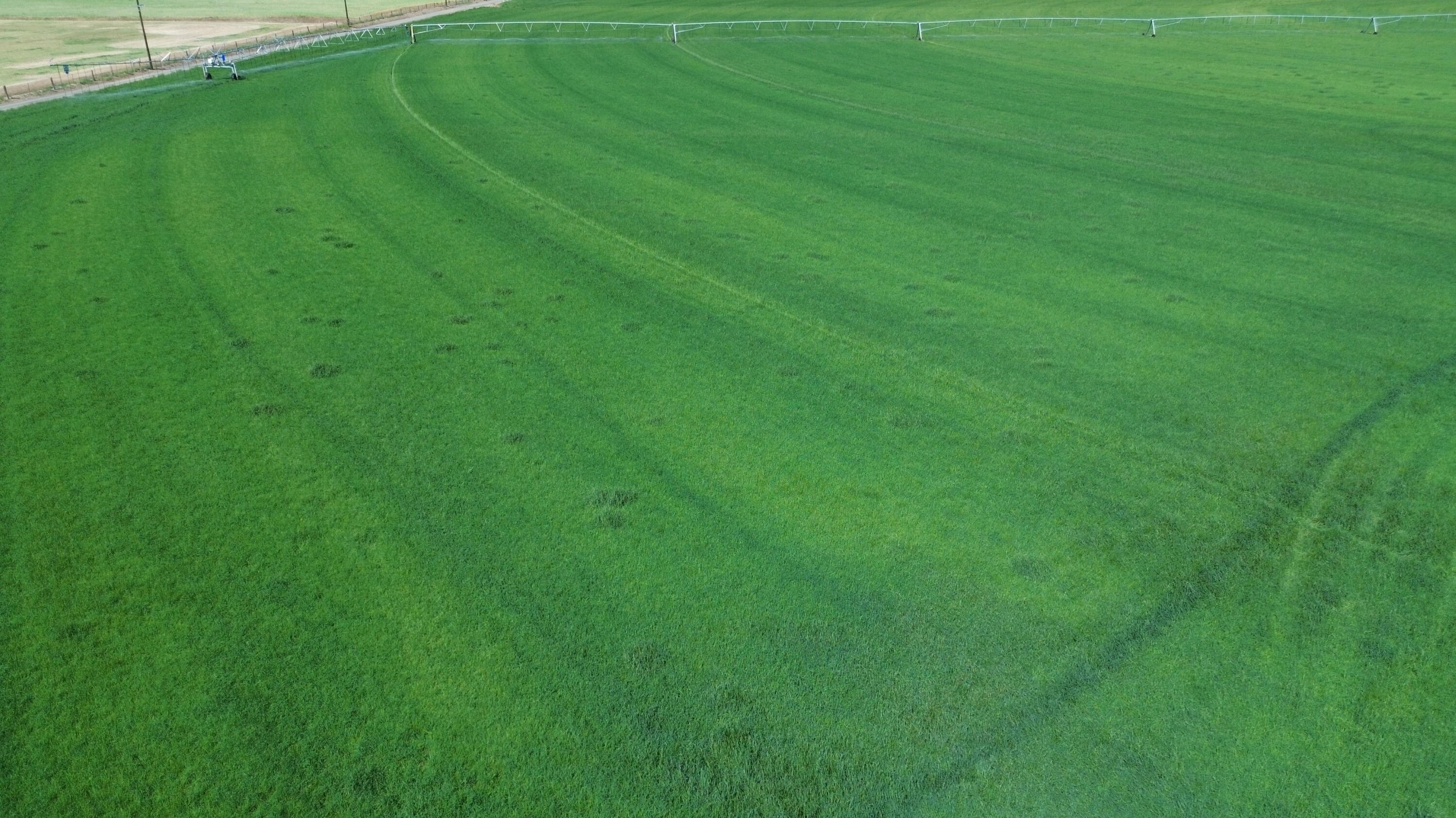 Lot 002 Lee Road McArthur, CA 96056 - Photo 22 of 34 a view of a green field with clear