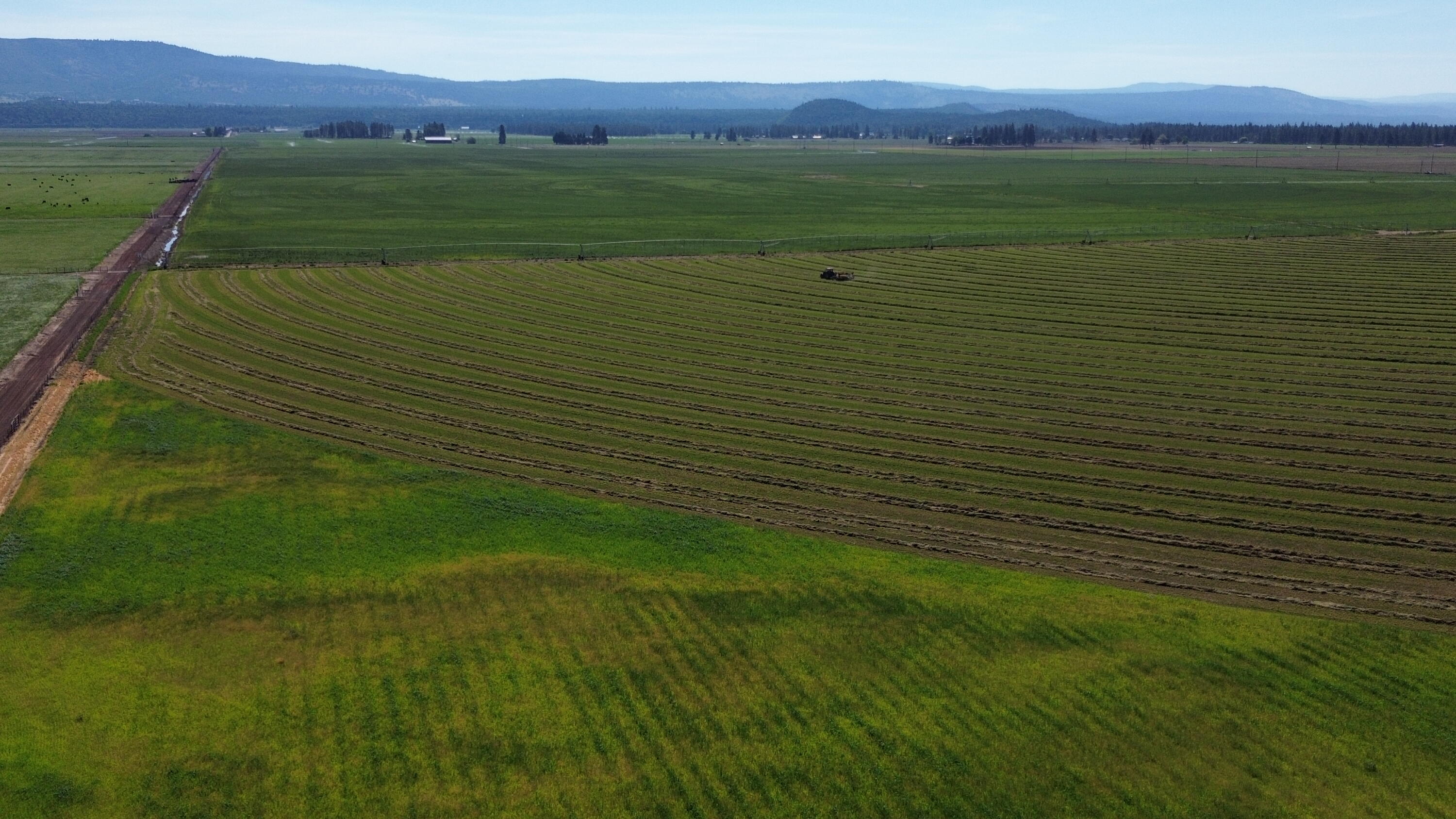 Lot 002 Lee Road McArthur, CA 96056 - Photo 31 of 34 a view of a field with an outdoor space
