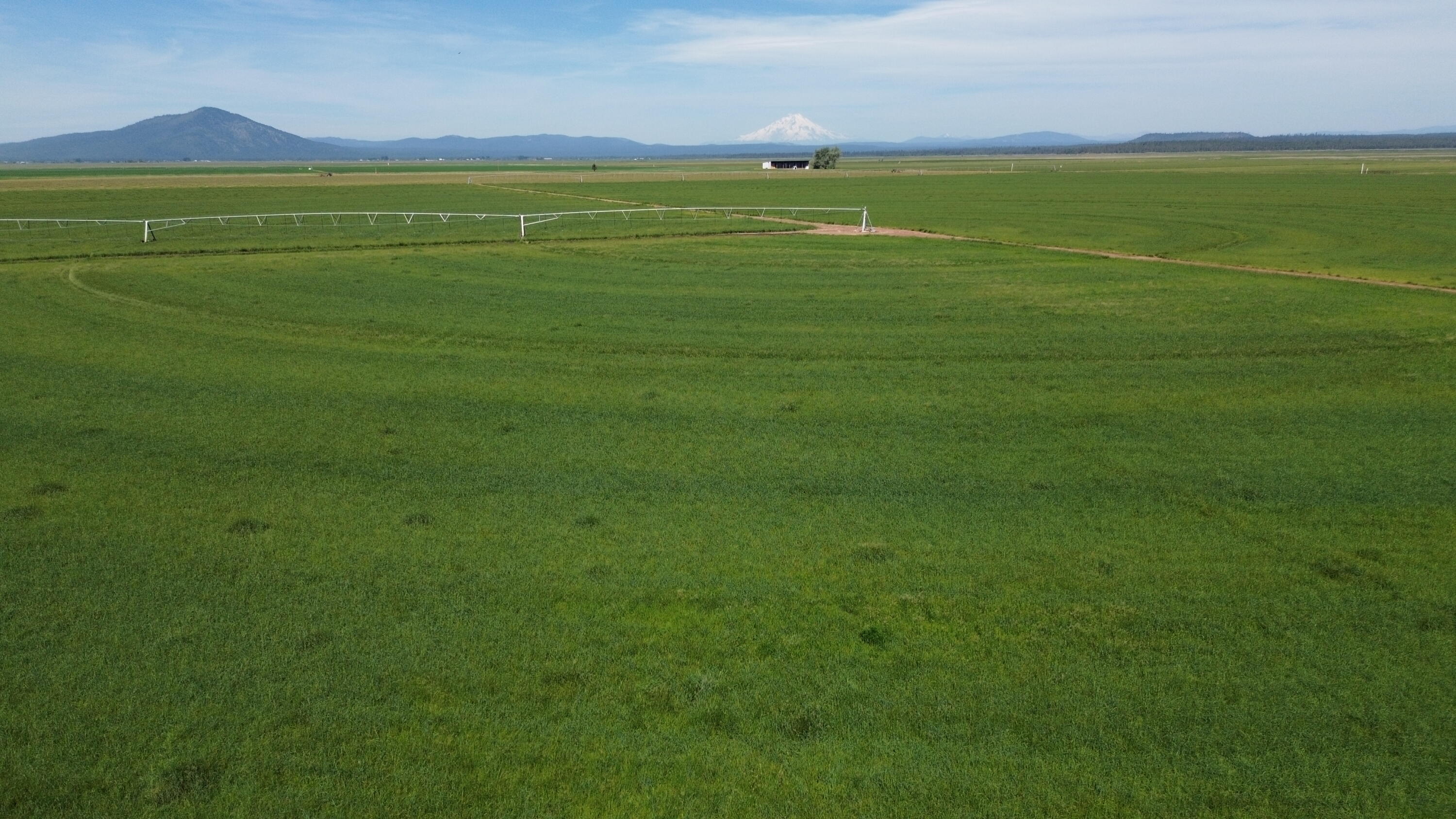 Lot 002 Lee Road McArthur, CA 96056 - Photo 33 of 34 a view of a big room with a big yard