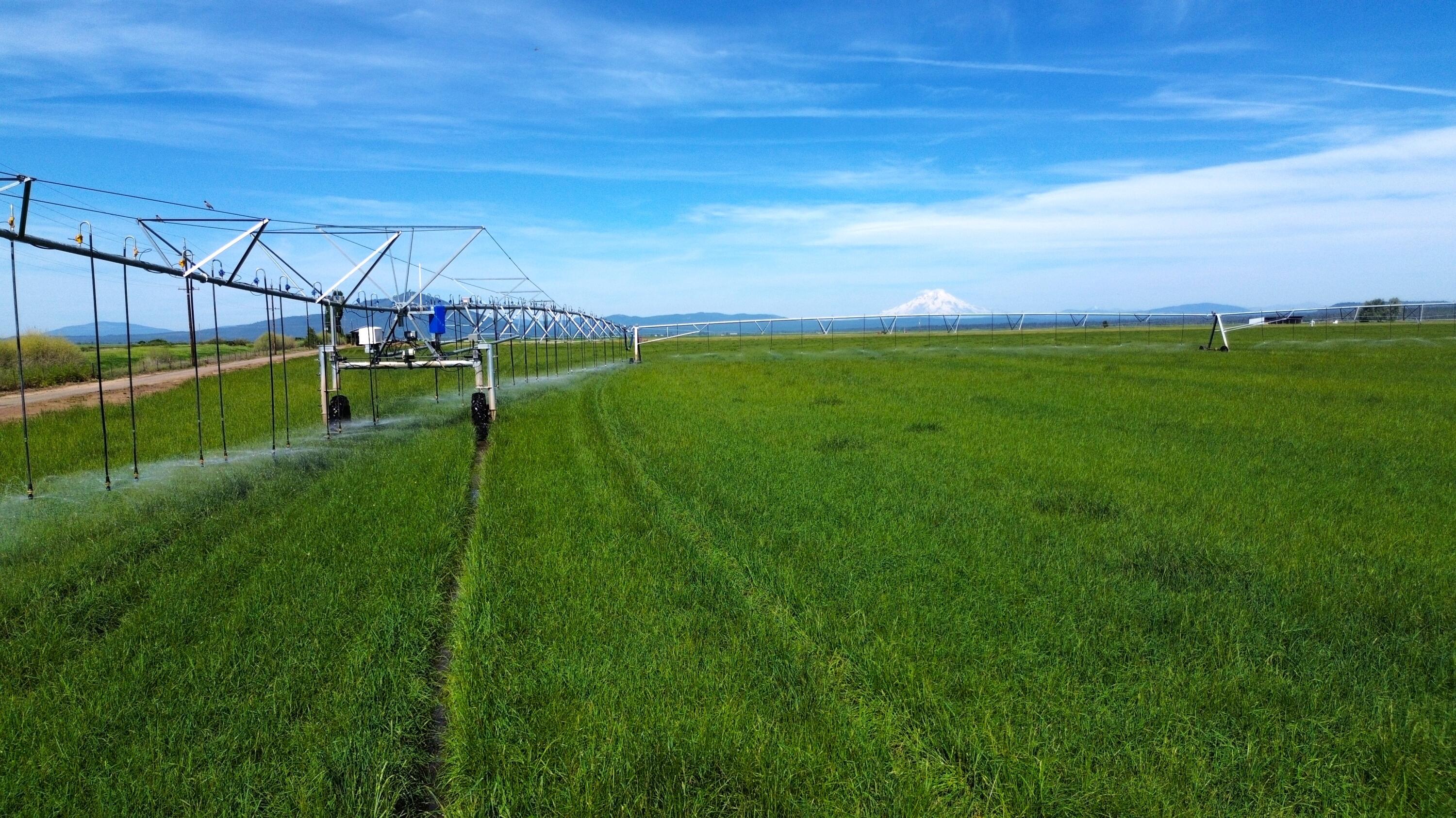 Lot 002 Lee Road McArthur, CA 96056 - Photo 4 of 34 a view of a field with sitting area