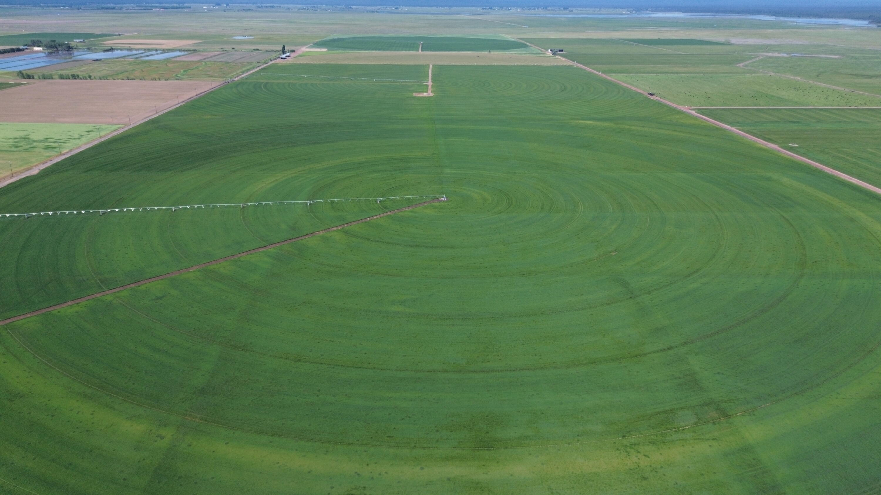 Lot 002 Lee Road McArthur, CA 96056 - Photo 7 of 34 a view of a field