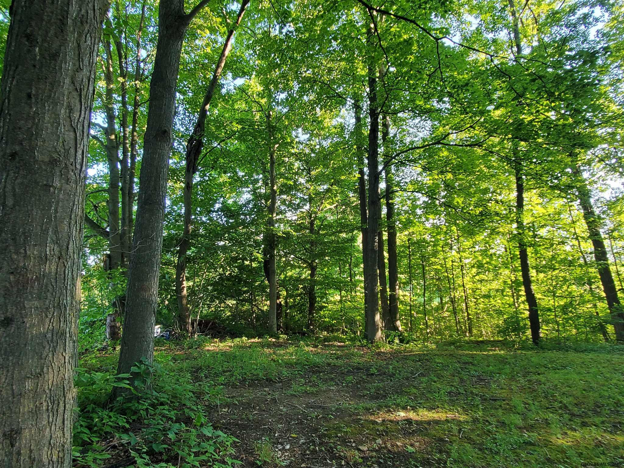 159 Hessville Road Fort Plain, NY 13339 - Photo 34 of 41 Photo 35
