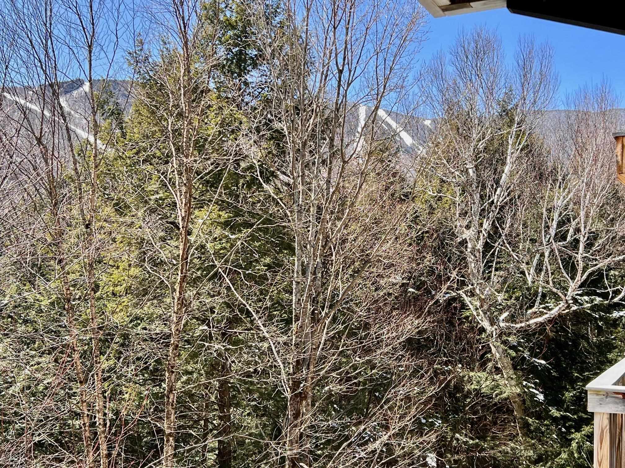 102 Upper Phase Road, Unit 71 Warren, VT 05674 - Photo 4 of 23