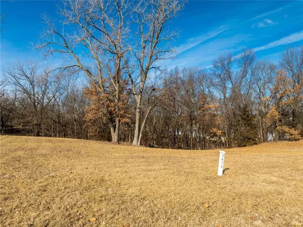 $10,000 | Lot 2675 Lake Viking Terrace, Altamont, MO 64620
