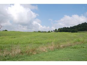 216 Kite Road Rogersville, TN 37857 - Photo 7 of 16 Photo 7