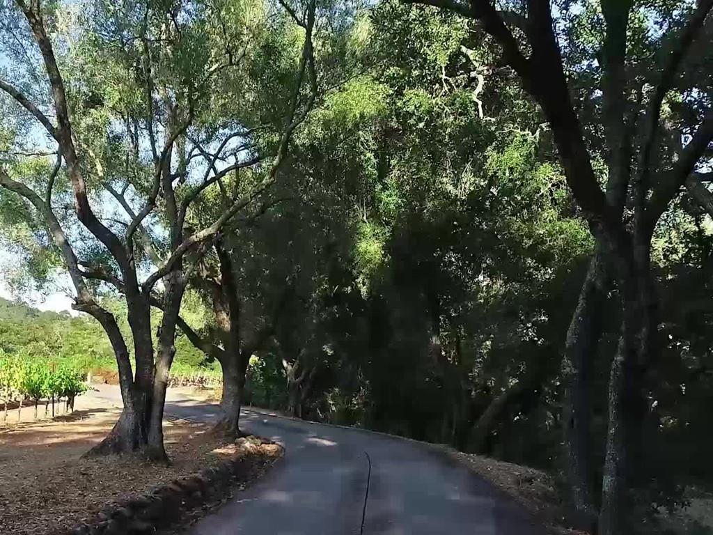 4265 Redwood Retreat Road Gilroy, CA 95020 - Photo 8 of 50 Gallery Image 8