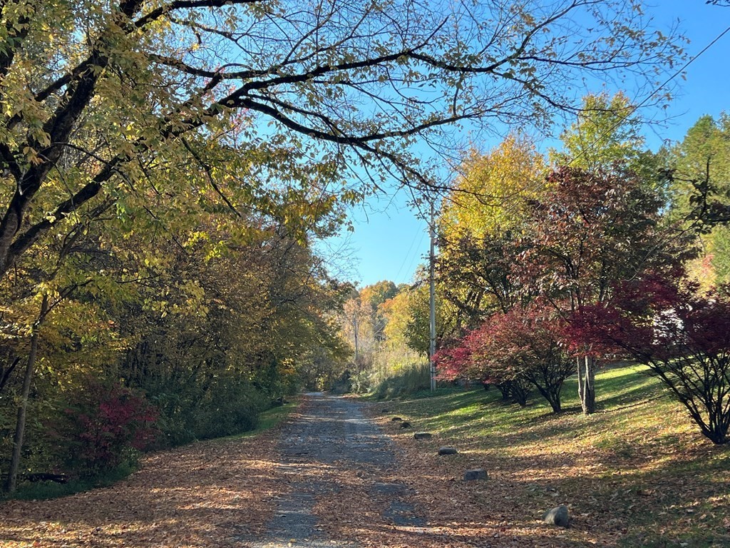 0 Manning Hollow Road Sevierville, TN 37876 - Photo 4 of 14