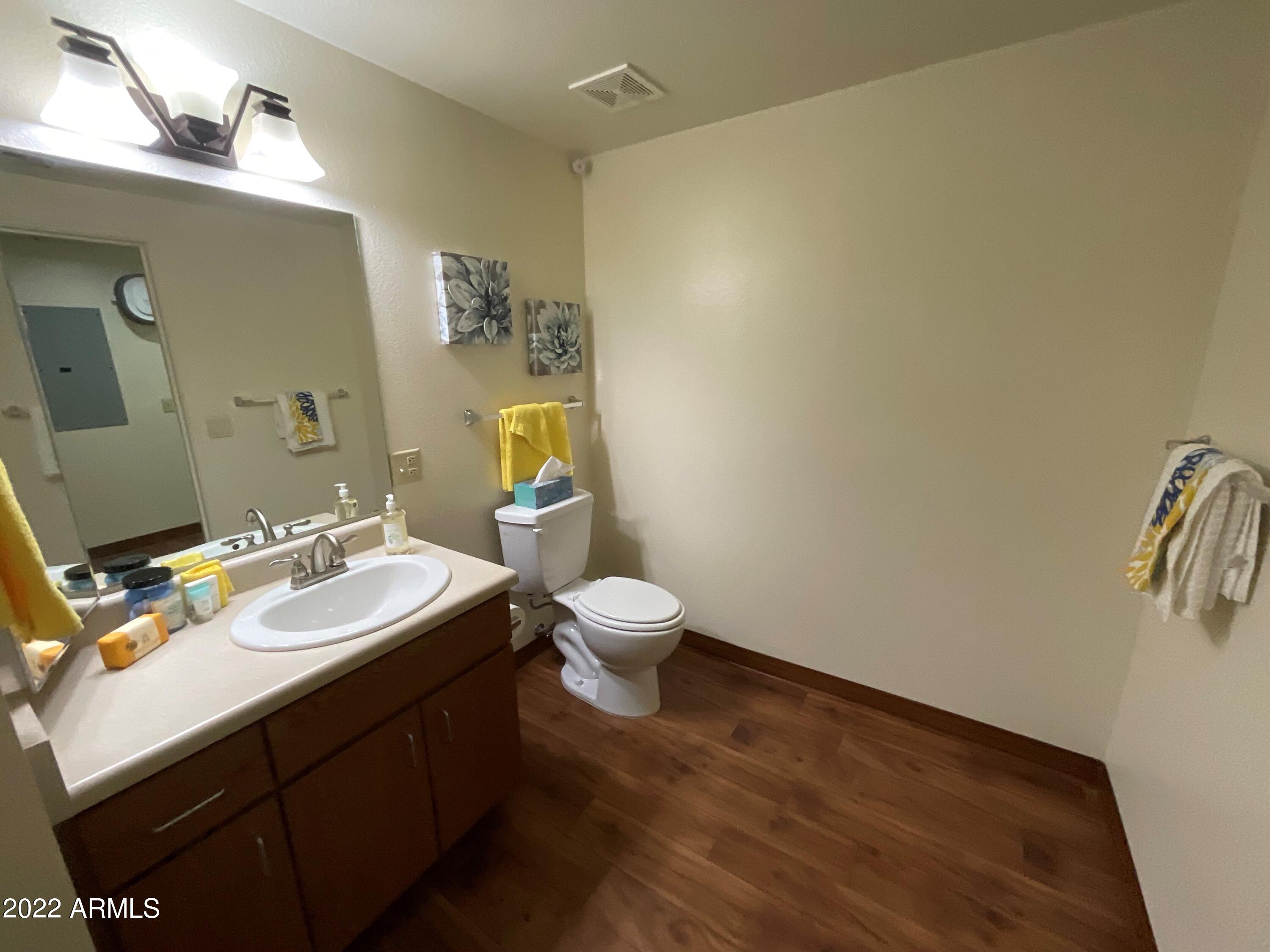6945 East Main Street Mesa, AZ 85207 - Photo 9 of 35 Bathroom