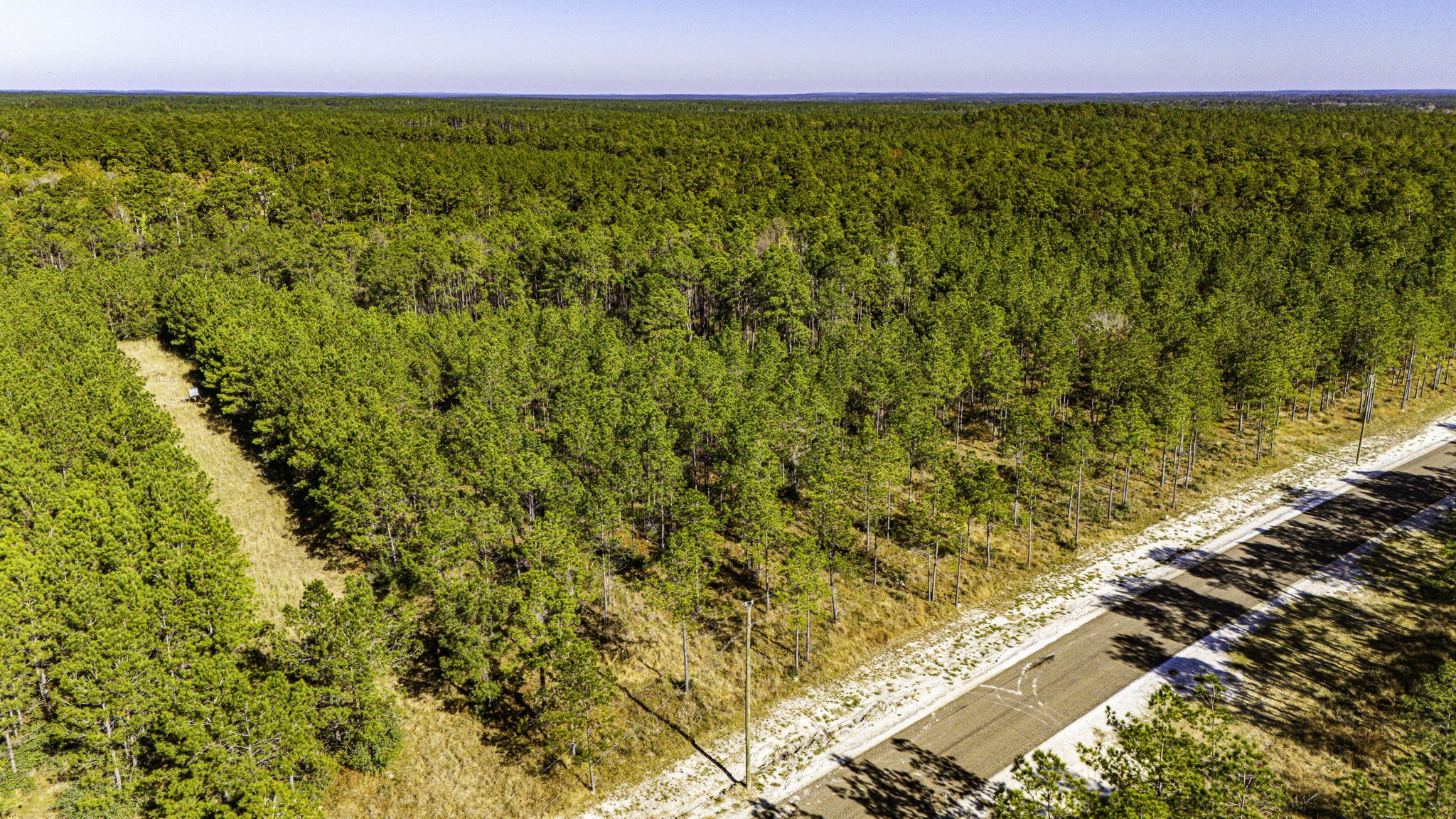 22 Magnolia Ranch Road Onalaska, TX 77360 - Photo 6 of 14 a view of a large yard with wooden floor and fence