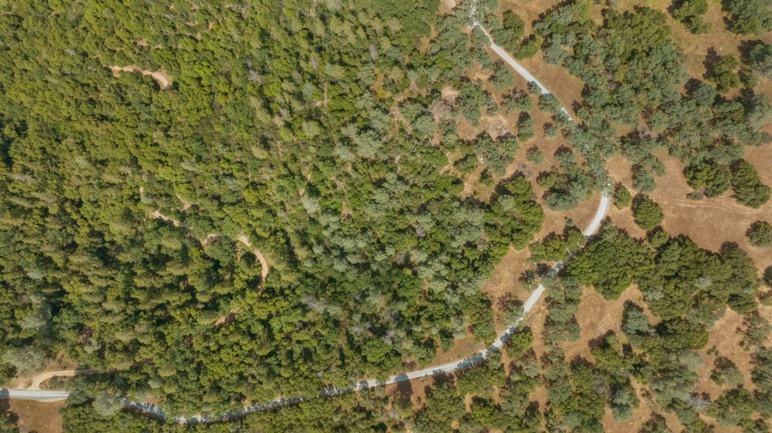 1 Bell Road Plymouth, CA 95669 - Photo 17 of 24