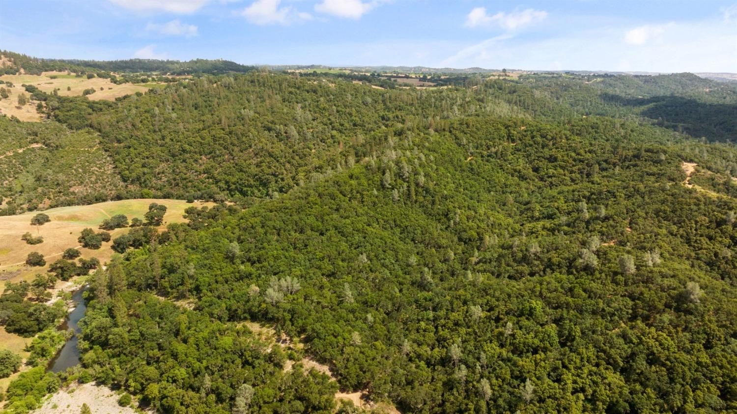 1 Bell Road Plymouth, CA 95669 - Photo 19 of 24