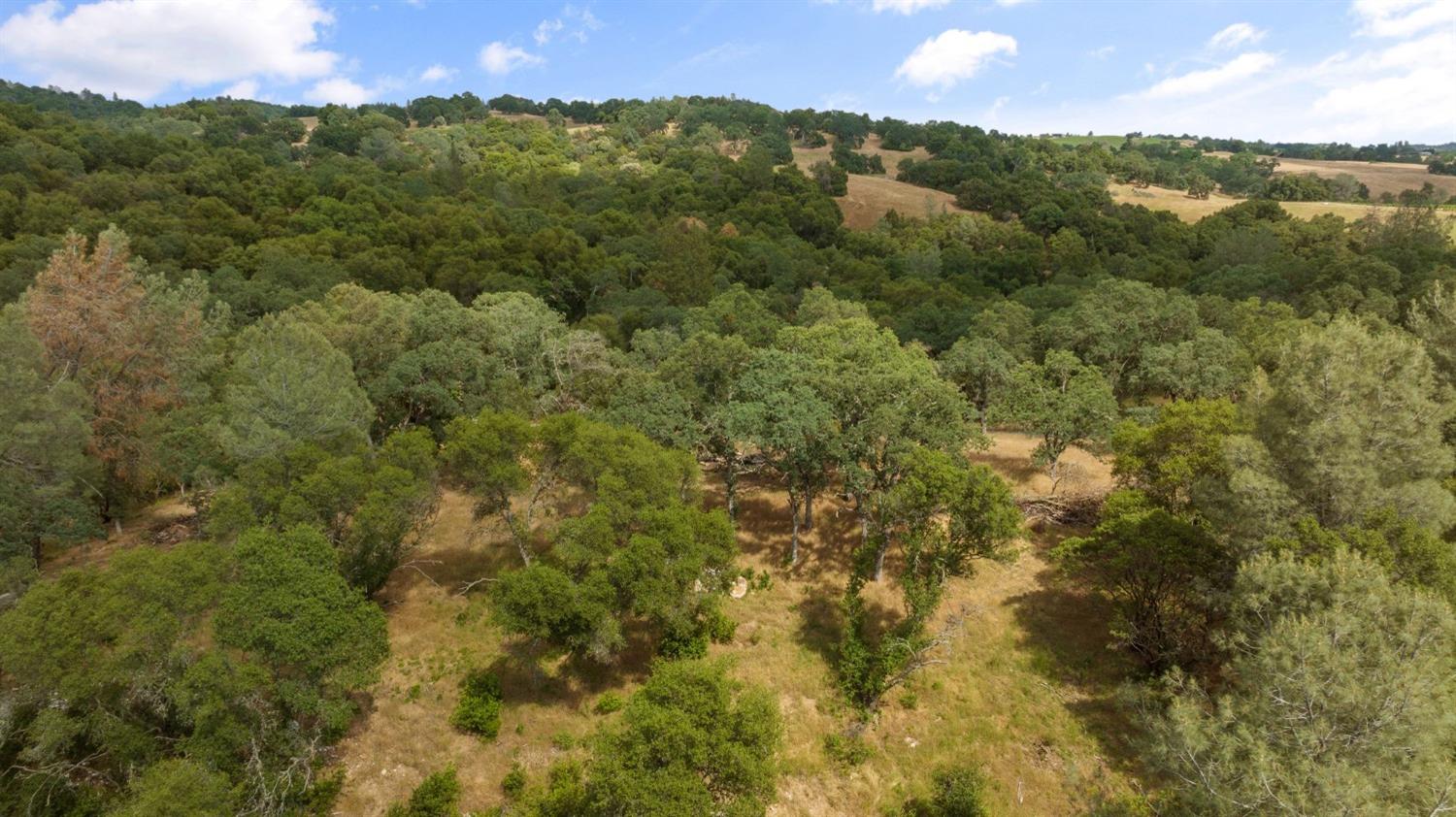 1 Bell Road Plymouth, CA 95669 - Photo 7 of 24