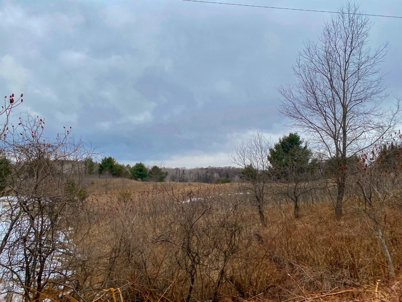 On Bolen Road, Unit LOT 1 2 Bryant, WI 54418 - Photo 21 of 25 Gallery Image 21