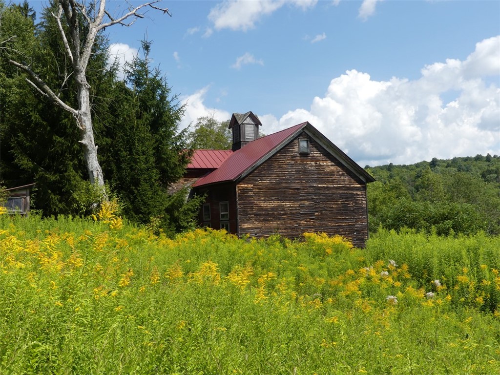 Lot 6.221 State Highway Andes, NY 13731 - Photo 4 of 26