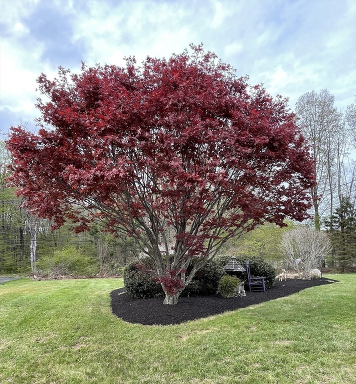 69 Klaus Anderson Road Southwick, MA 01077 - Photo 6 of 38