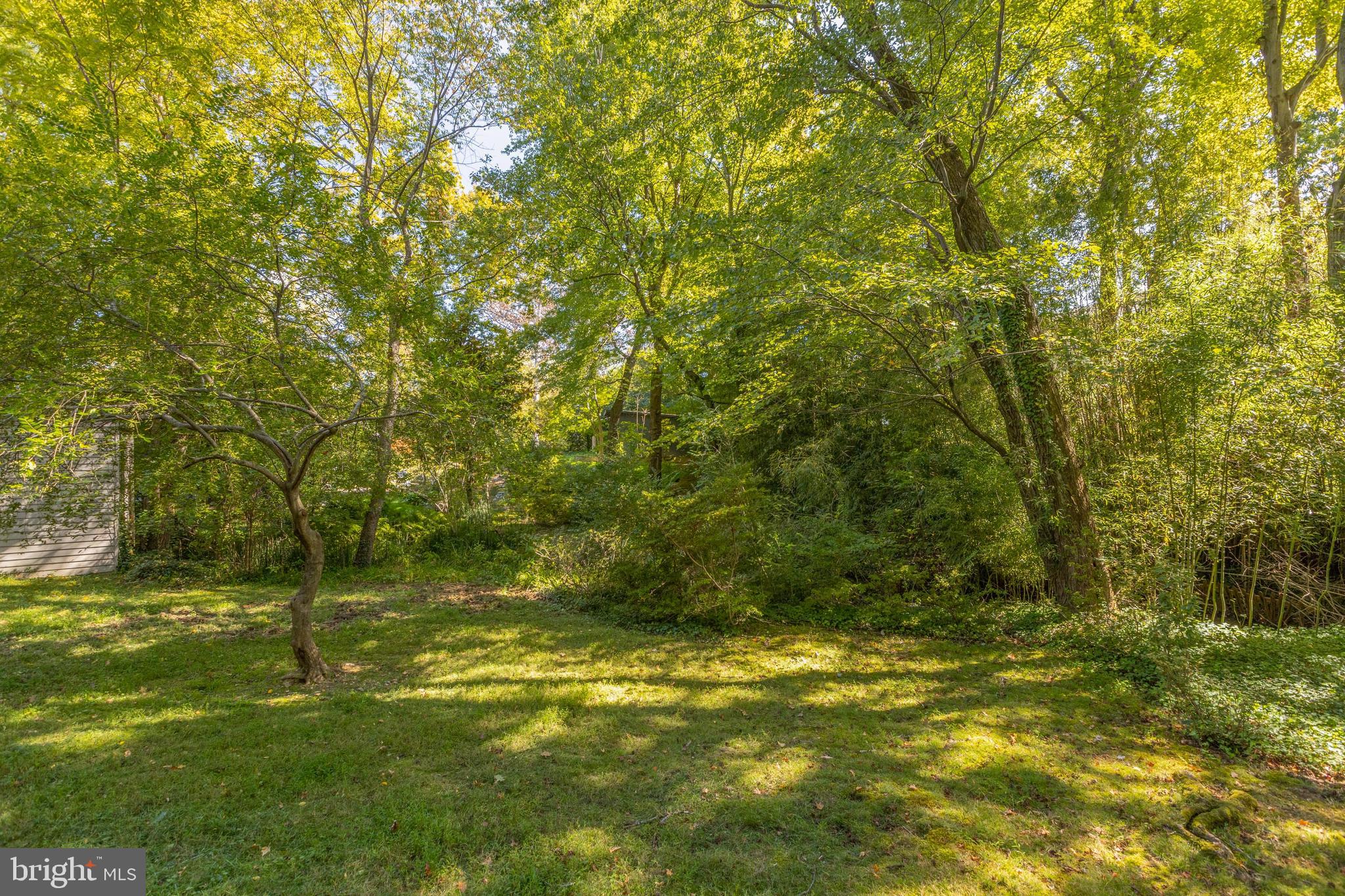 2007 Marthas Road Alexandria, VA 22307 - Photo 50 of 53 Gallery Image 50