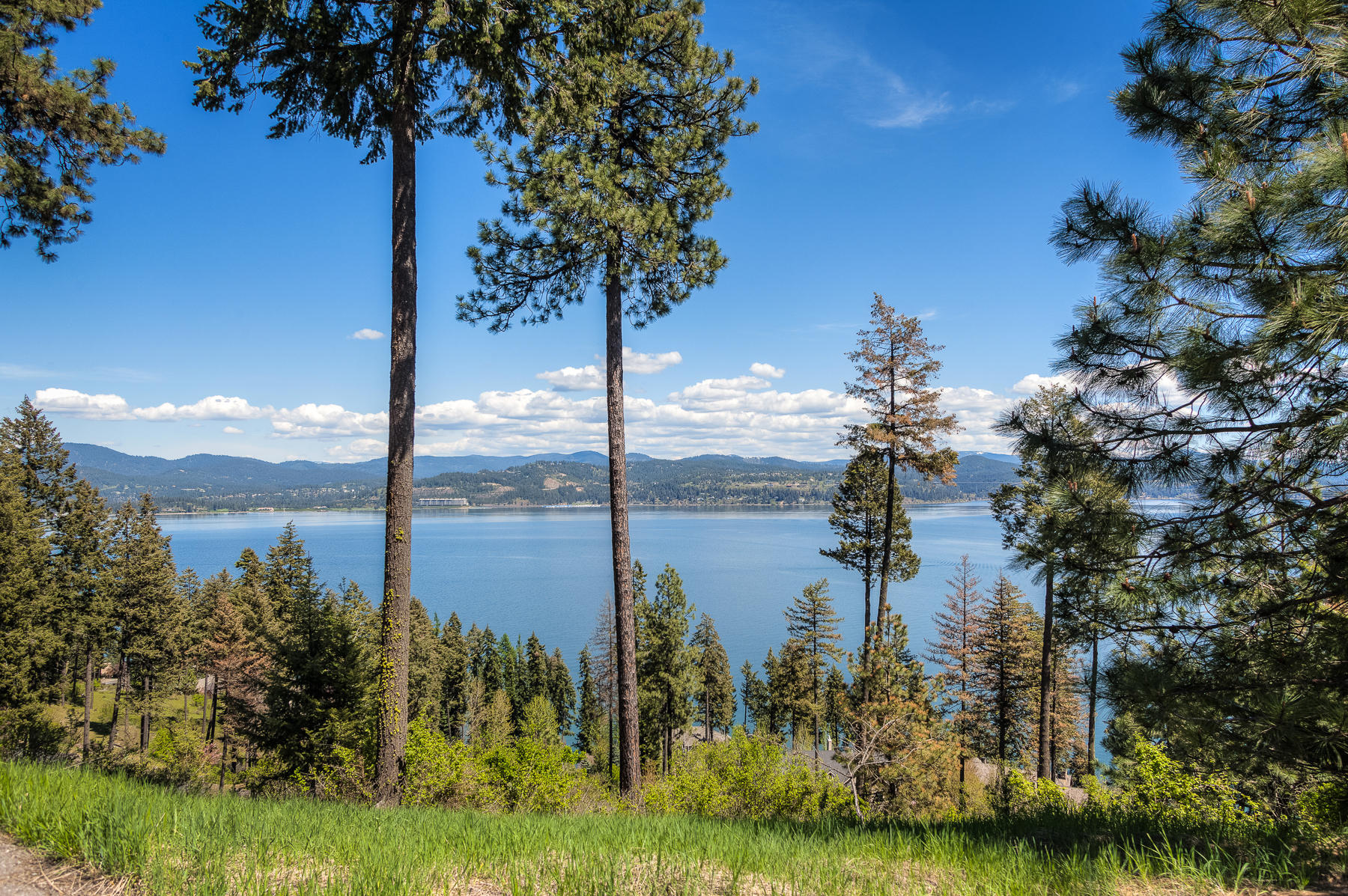 L5-b2 South Threemile Point Road Coeur D'Alene, ID 83814 - Photo 10 of 10 StevensPoint-2