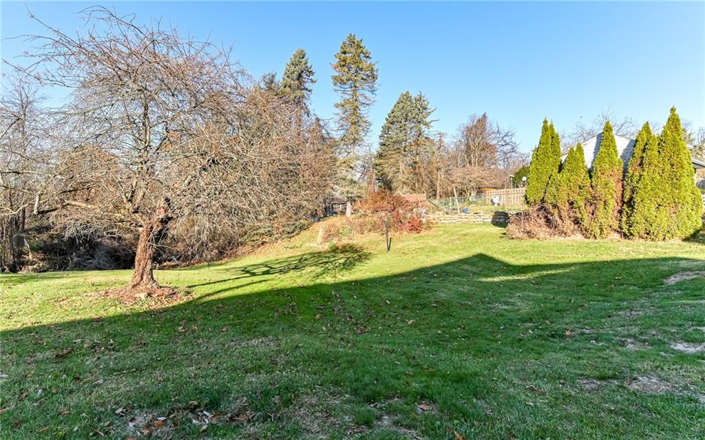 1711 Mercer Street Aliquippa, PA 15001 - Photo 20 of 23 a view of yard with swimming pool and trees