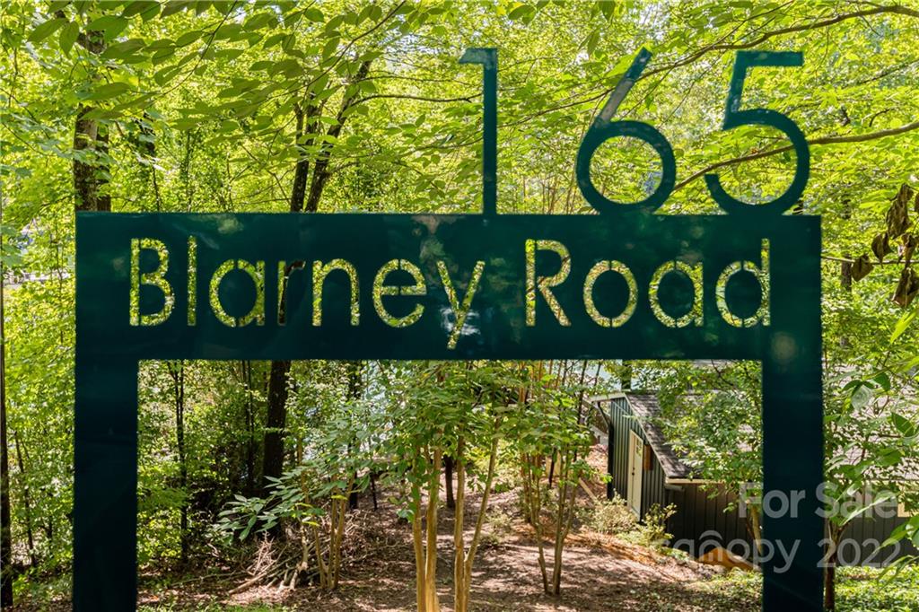 165 Blarney Road Lake Lure, NC 28746 - Photo 32 of 32 Gallery Image 32