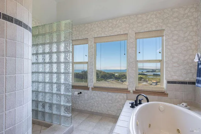 a view of city and mountain