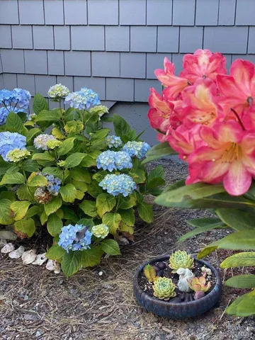 $2,595,000 | 1513 Sea Way, Bodega Bay, CA 94923