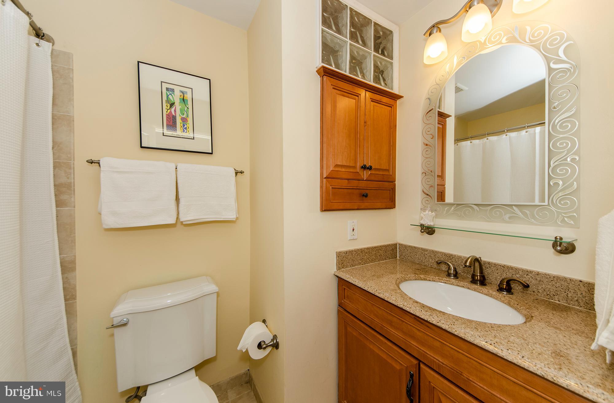 6532 Elnido Drive McLean, VA 22101 - Photo 22 of 45 Main level hall bath