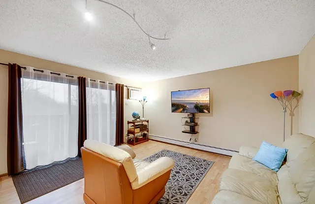 a living room with furniture and a rug