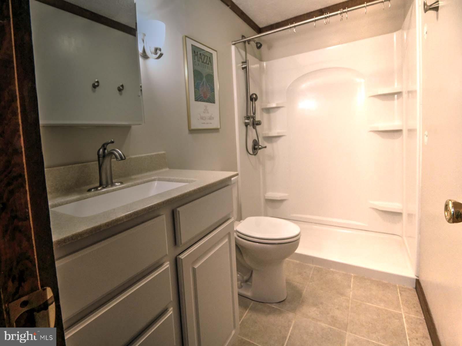 159 Richmon Road Basye, VA 22842 - Photo 11 of 41