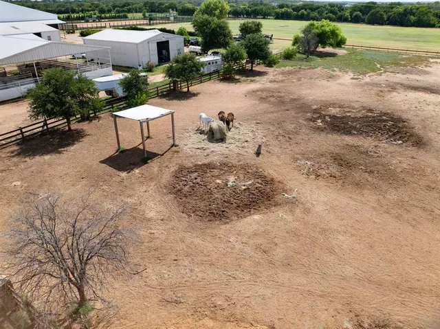 a view of a backyard with plants and lake view