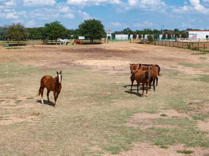 a view of swimming pool with outdoor seating and yard in the back